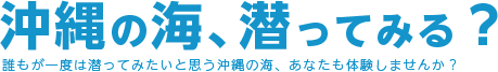 沖縄の海、潜ってみる?